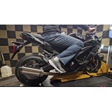 2025 KAWASAKI Ninja 1100 Race Stainless Full System